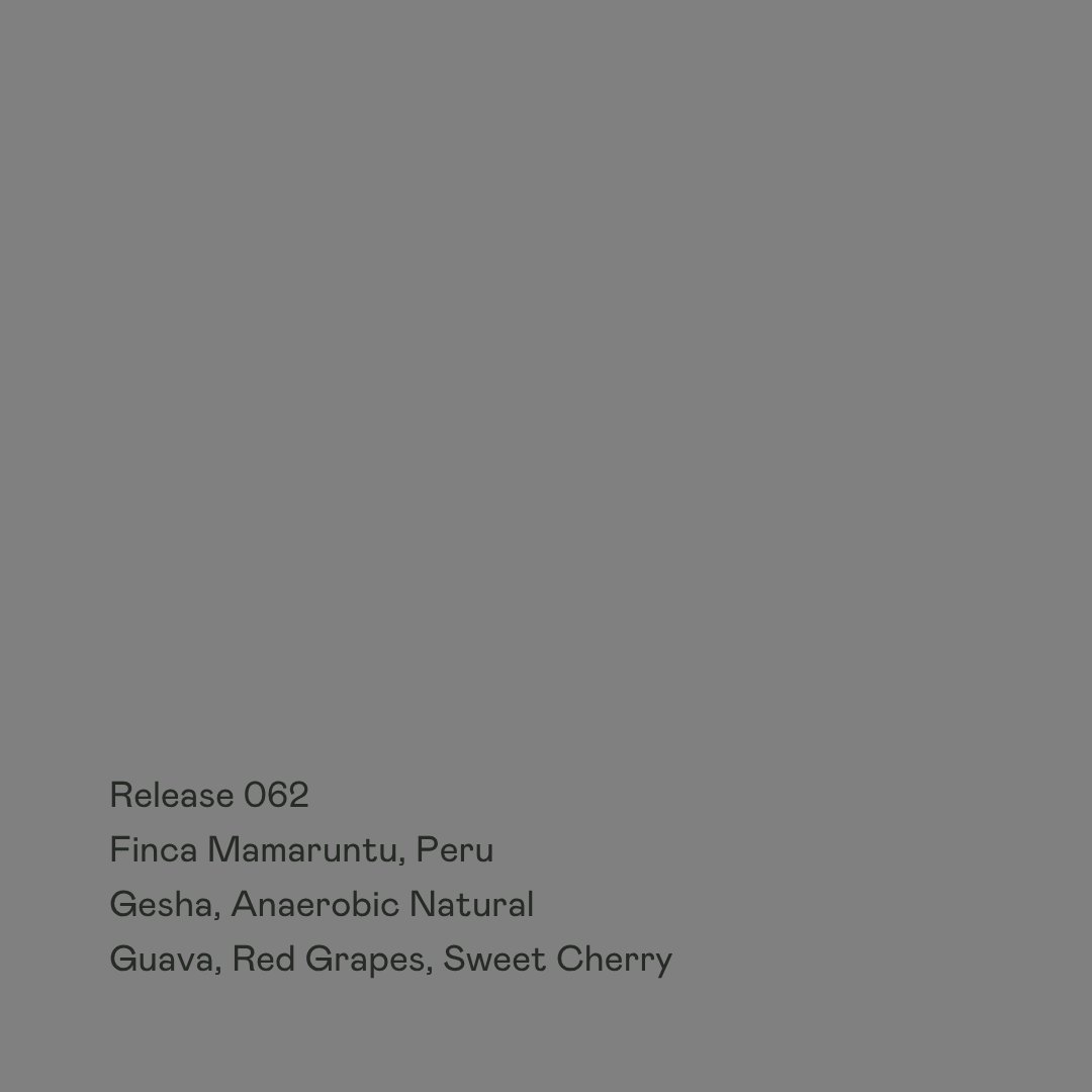 Release 062 - Finca Mamaruntu, Gesha Anaerobic Natural