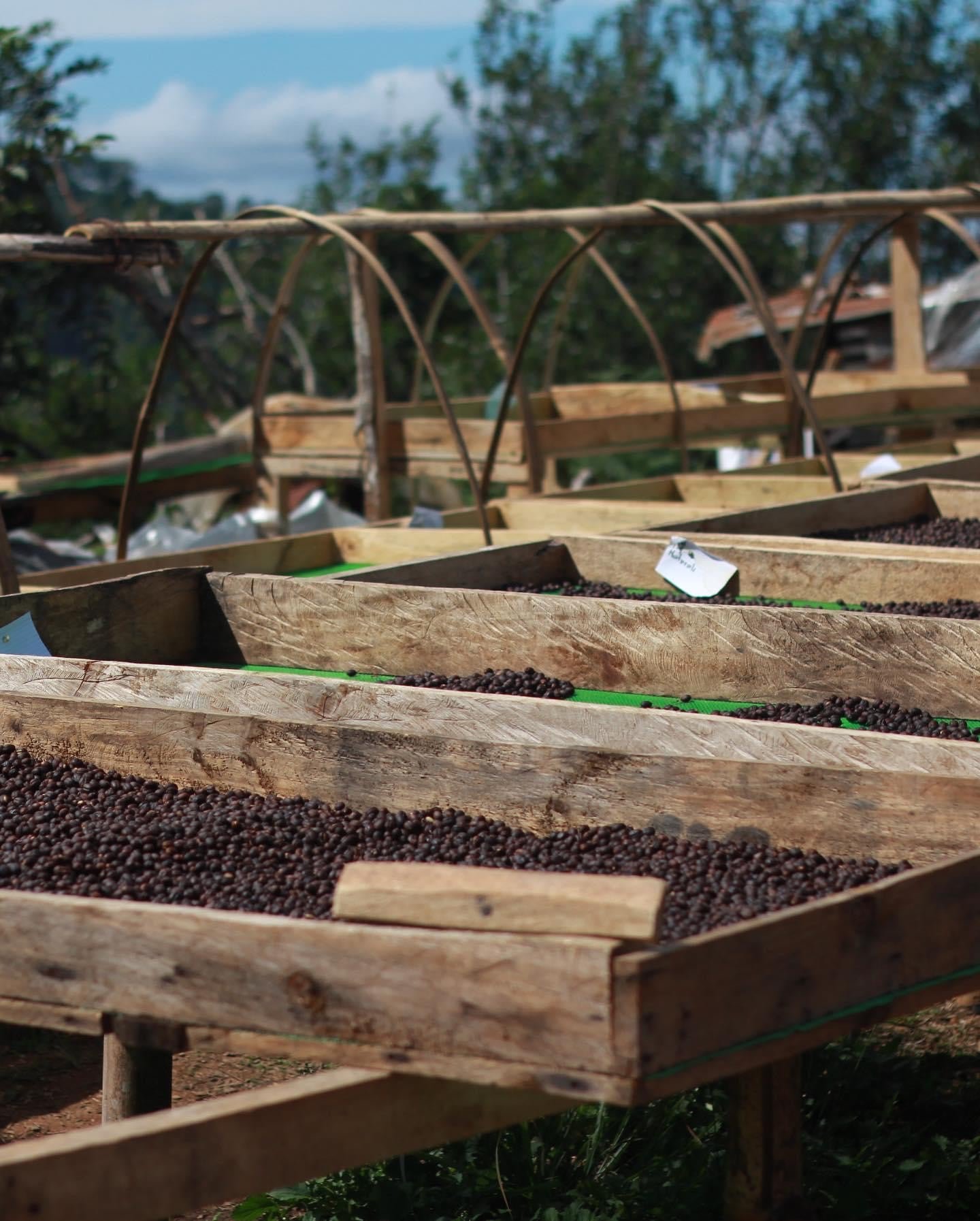 Philippines Sitio Naguey Natural
