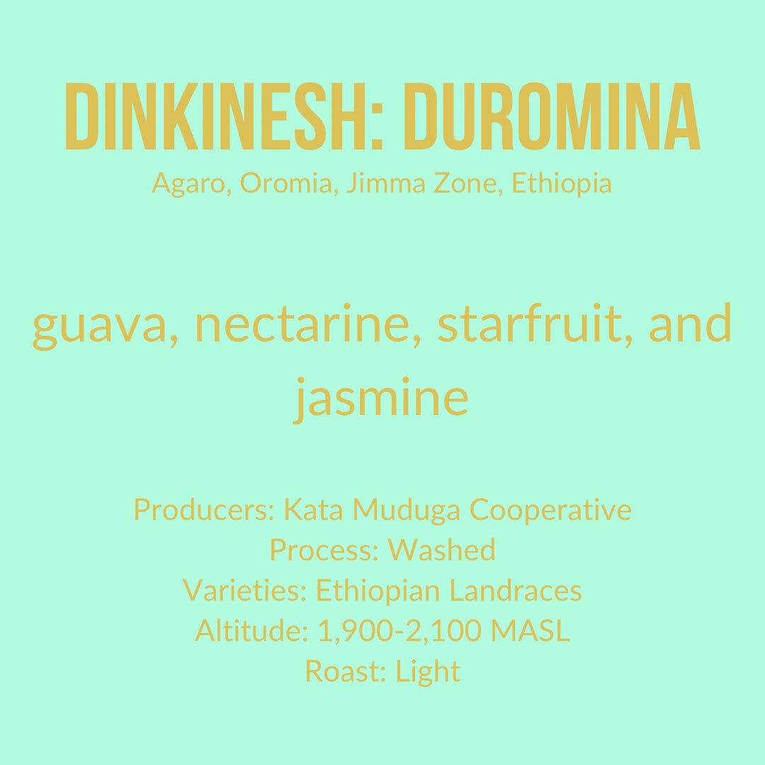 Dinkinesh: Duromina