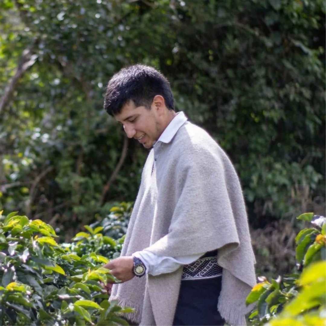 Colombia - Finca Bellavista - Yeast Assisted Ferm. Geisha