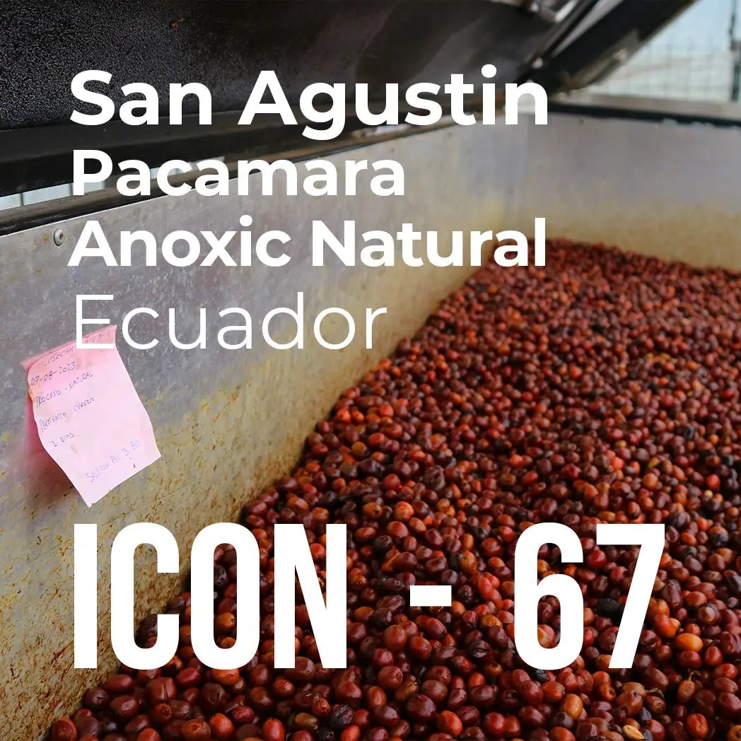 ICON 67 - San Agustin, Pacamara Anoxic Natural