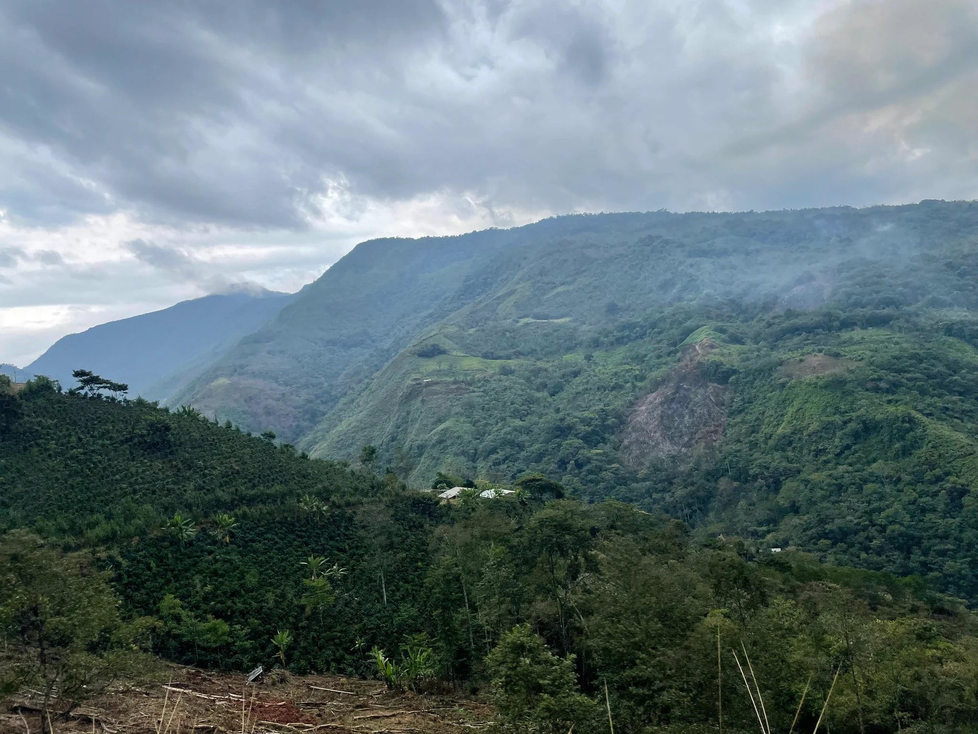 Peru Roiber Becerra Gesha Natural