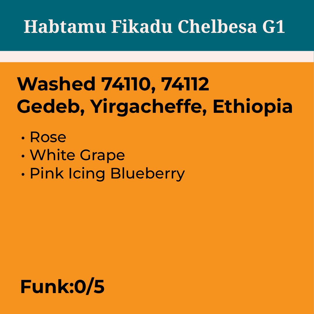 Habtamu Fikadu Washed