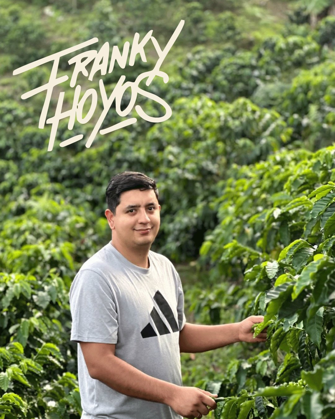 Franky Hoyos · Kolumbien · Caturra, Chiroso · Yeast Inoculated Natural