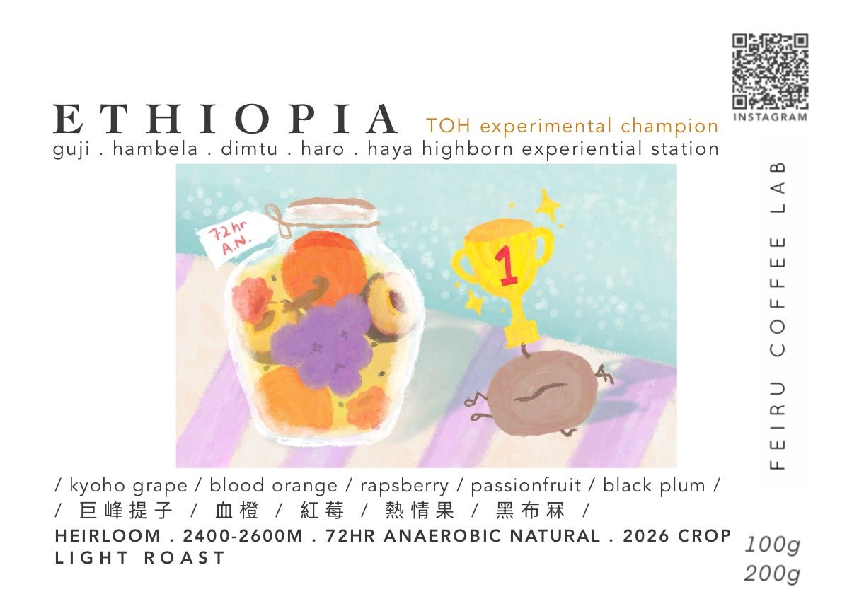 [TOH #1🏆] ETHIOPIA • ㅣ巨峰提子ㅣ血橙ㅣ紅莓ㅣ熱情果ㅣ黑布冧ㅣ • 72hr AN • heirloom