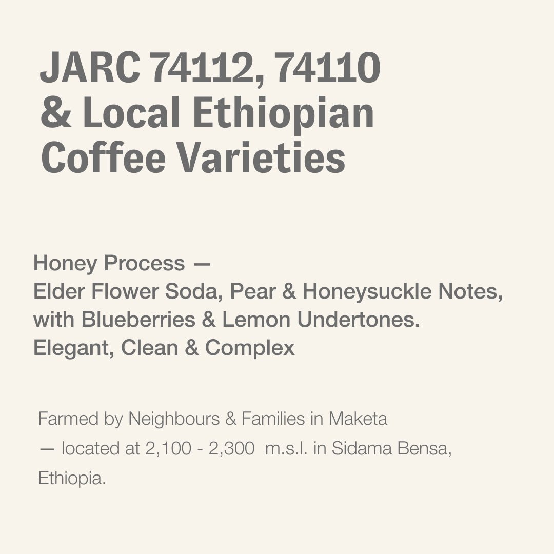 JARC 74112, 74110 & local Ethiopian coffee varieties, Sidama Bensa, Ethiopia