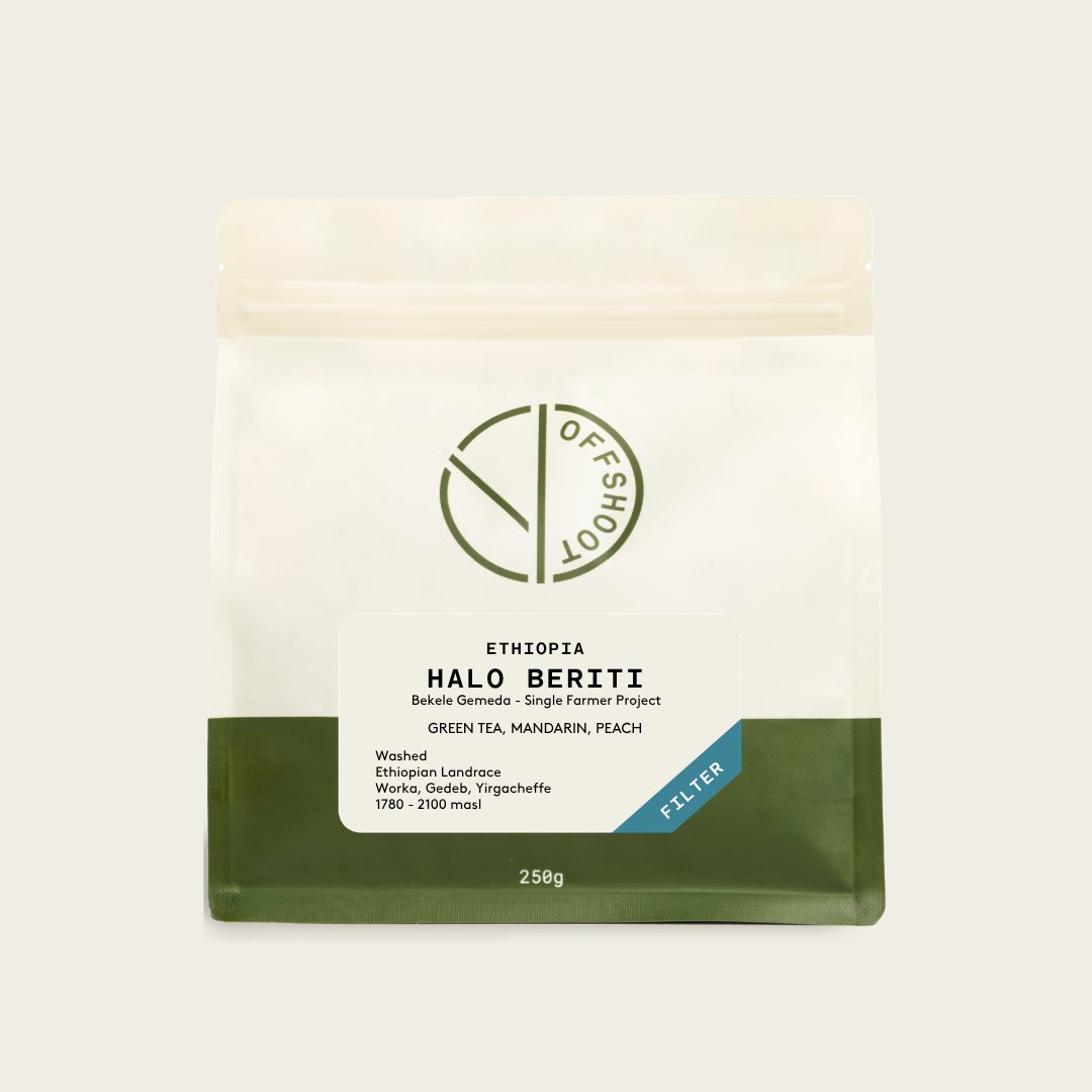 Halo Beriti - Bekele Gemeda - Single Farmer Project
