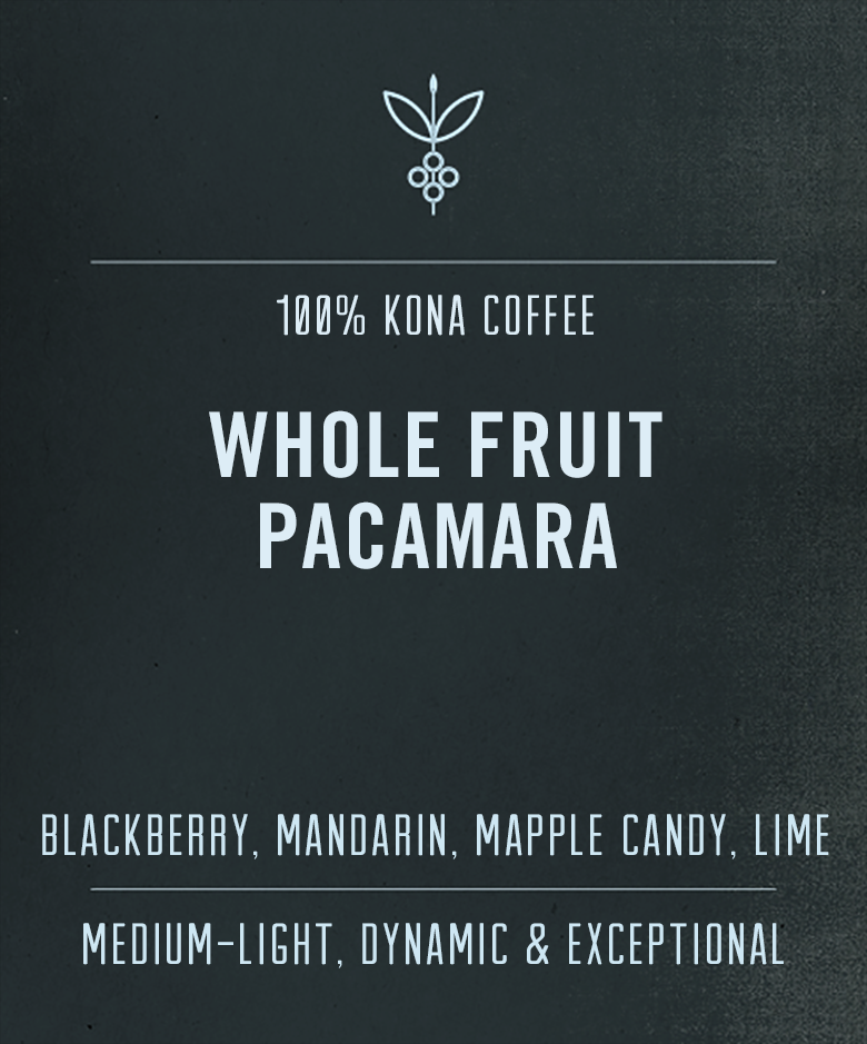 Kona Whole Fruit Pacamara | 100% Kona Pacamara