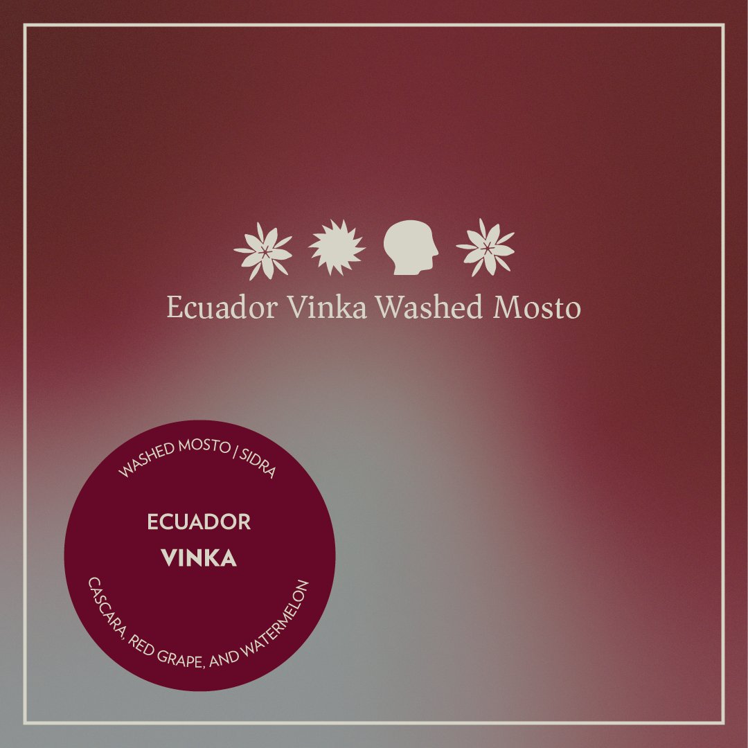 Ecuador - Vinka - Washed Mosto Sidra
