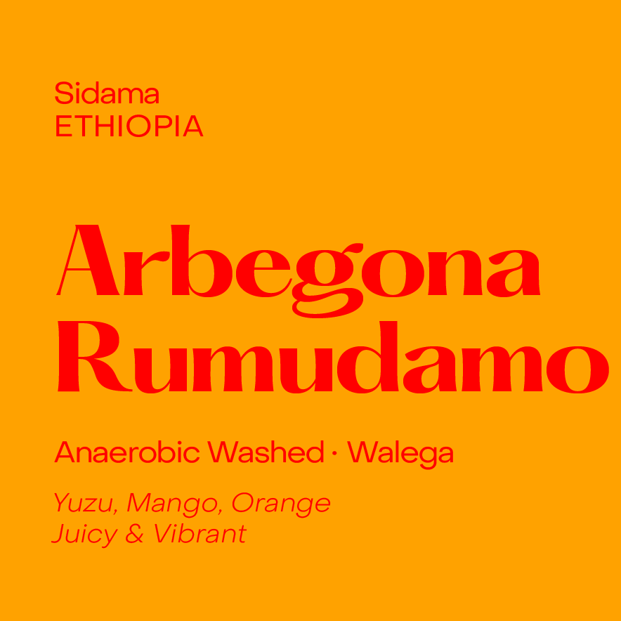 Arbegona Rumudamo, Ethiopia Anaerobic Washed Walega