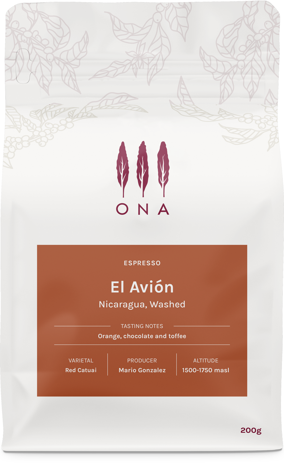 El Lino, Nicaragua, Washed