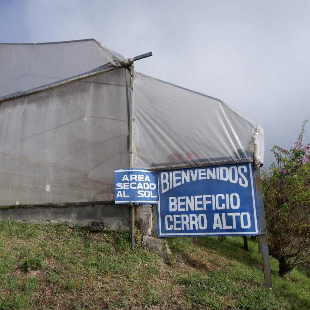 Costa Rica Cerro Alto Micromill Catuai Natural