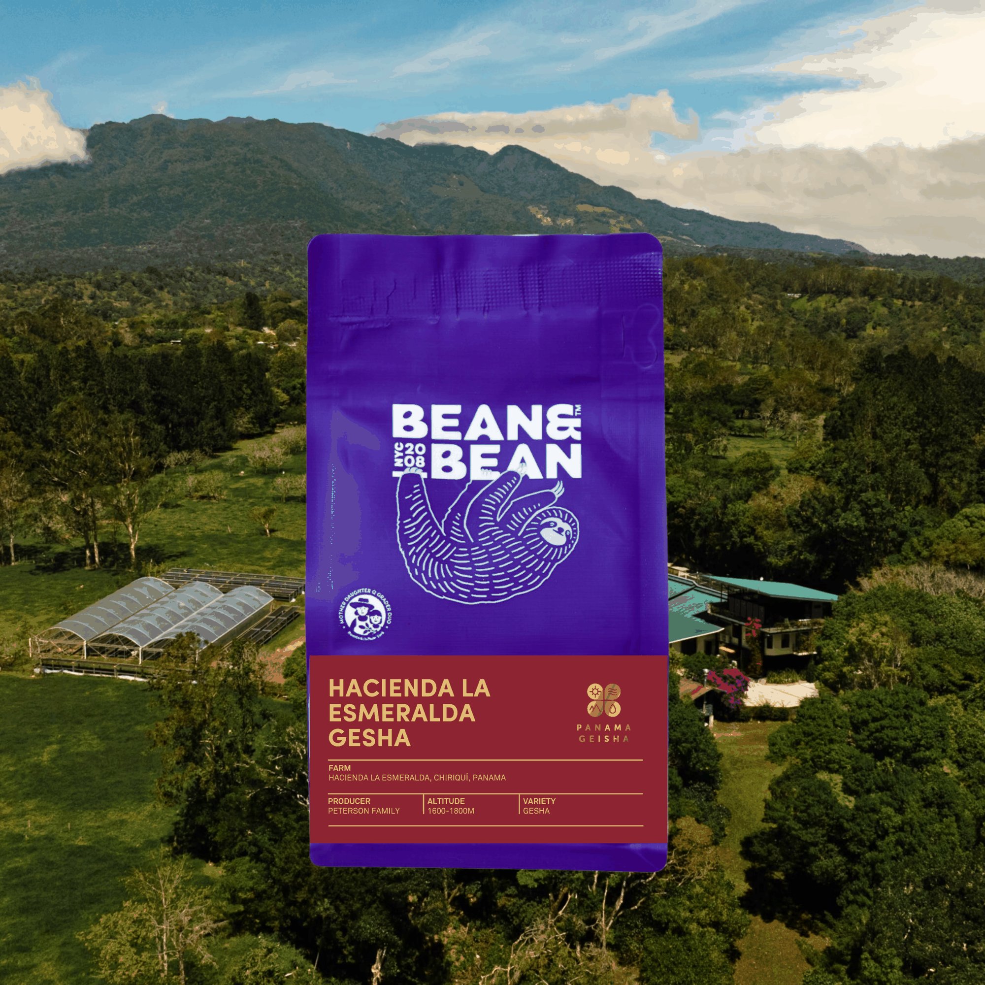 Panama Hacienda La Esmeralda Gesha Washed Portón 5AFB [Score: 92.00]
