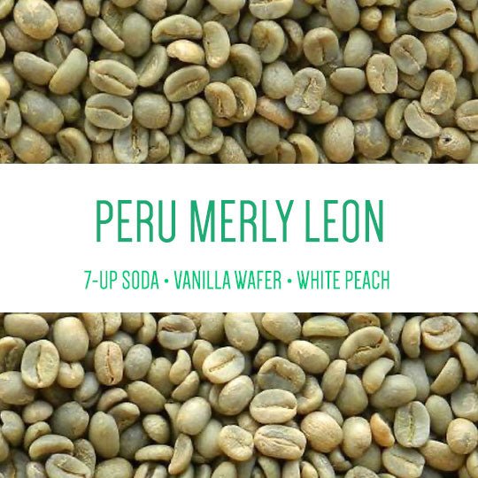 Peru Aromas del Valle Merly Leon G1 Washed Organic GREEN BEANS