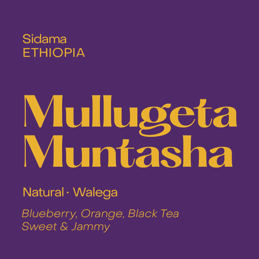 Ethiopia Mullugeta Muntasha, Natural Walega