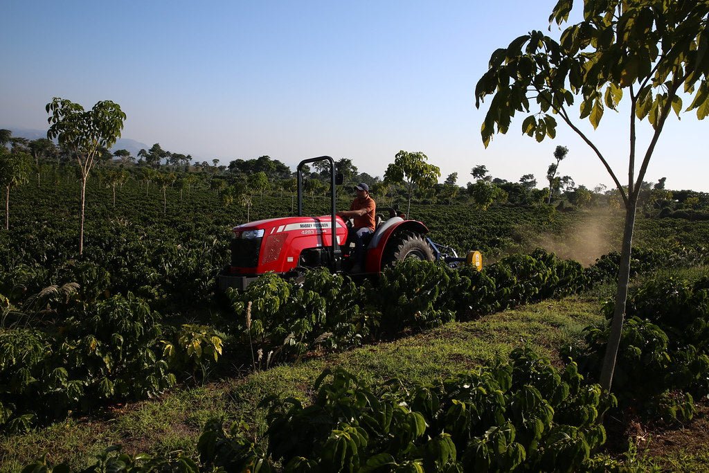 El Salvador Emilio Lopez Caturra Natural FILTER