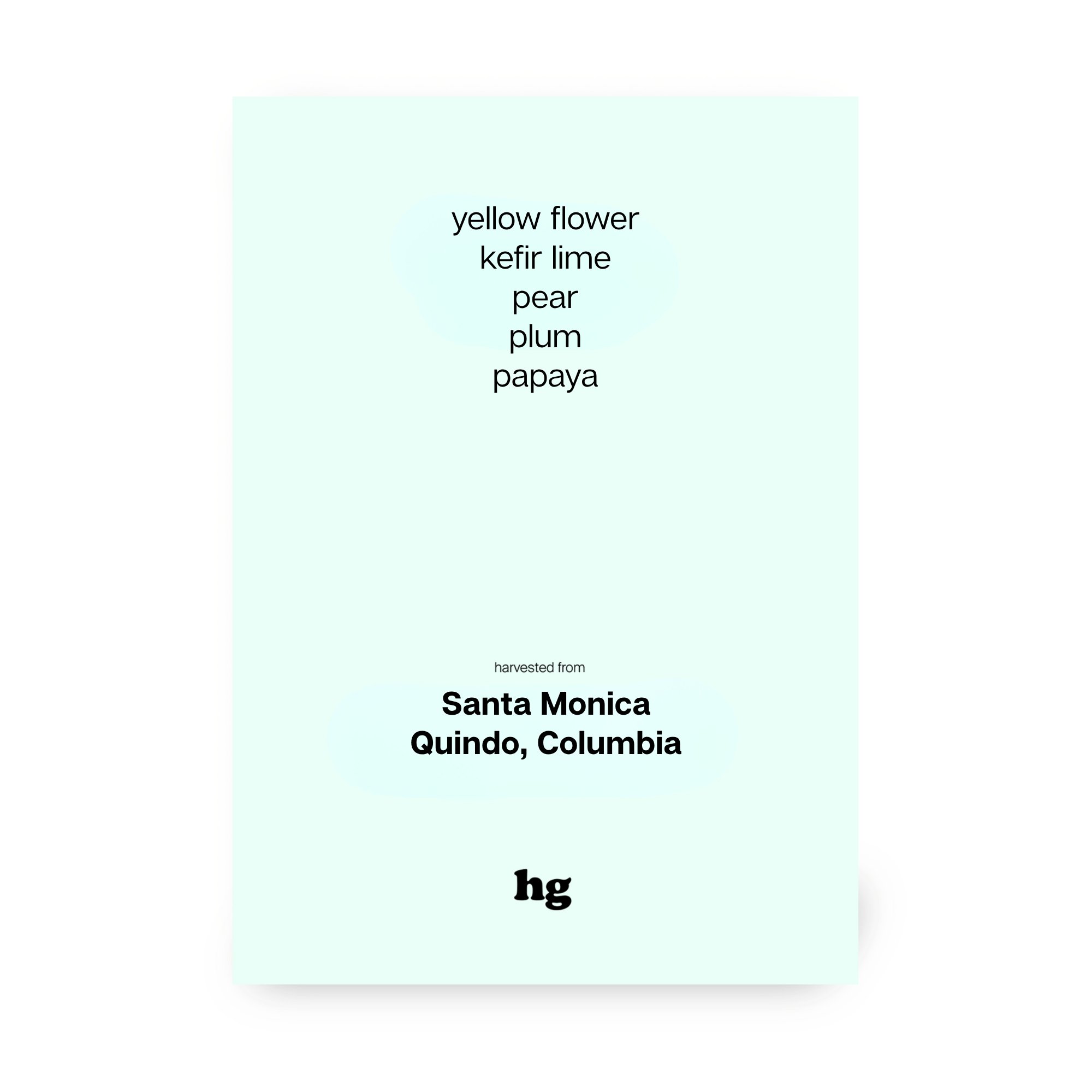 Santa Monica, Pink Bourbon, Washed, Colombia