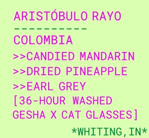 Aristóbulo Rayo