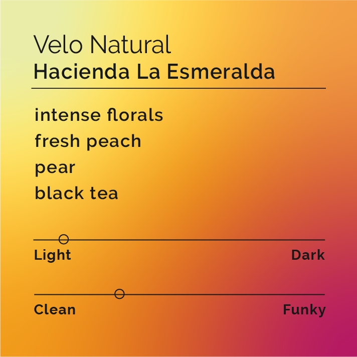 Hacienda La Esmeralda - Velo Natural