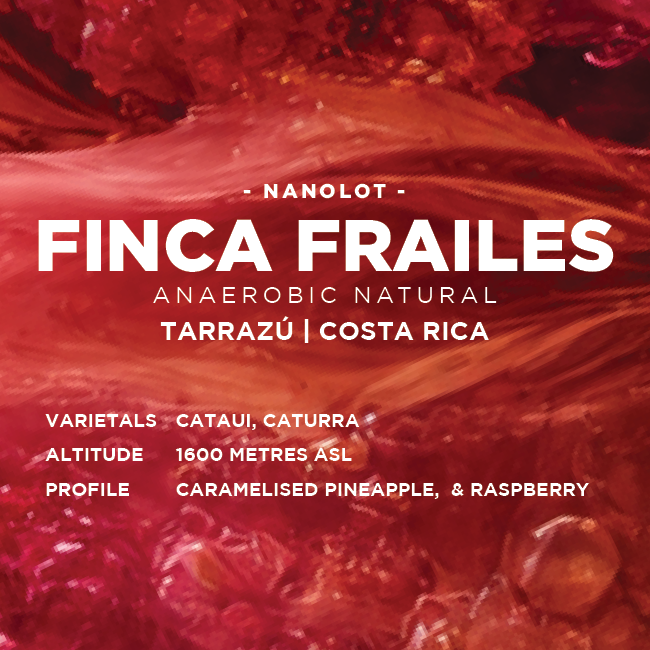Costa Rica: Finca Frailes
