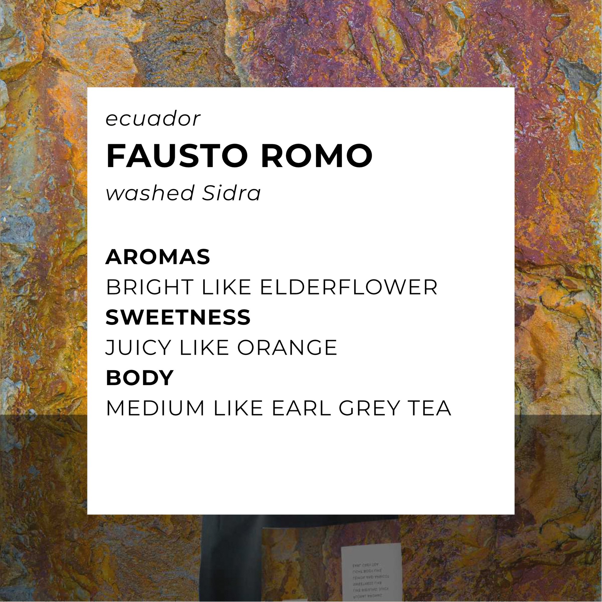 Fausto Romo