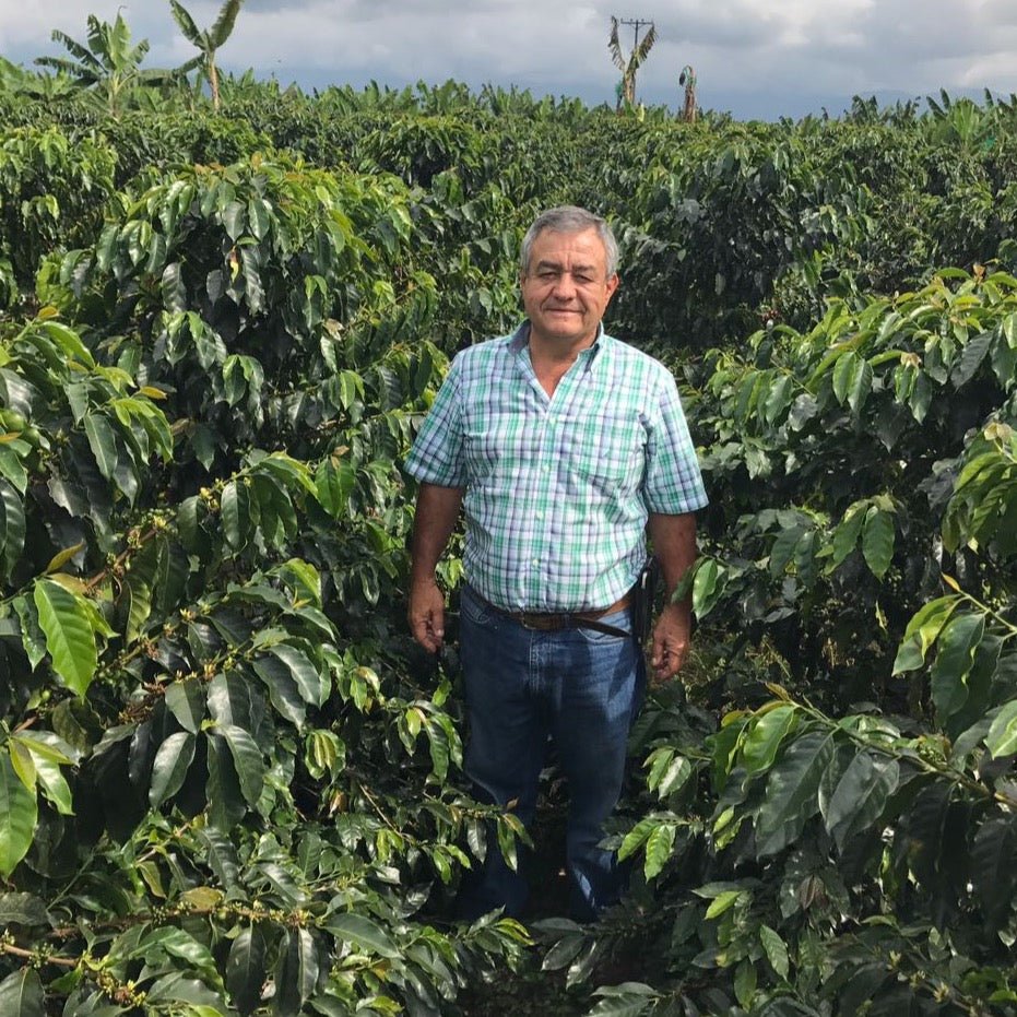 ’Colombia Jairo Arcila【Banana】