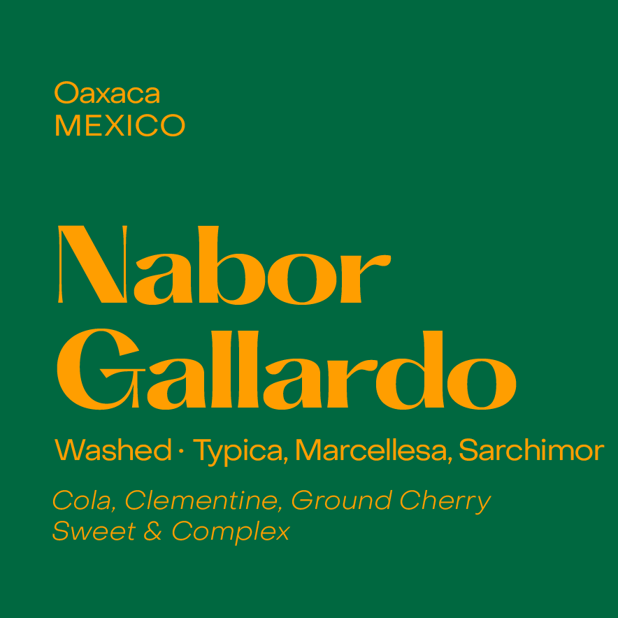 Nabor Gallardo, Mexico Washed Field Blend