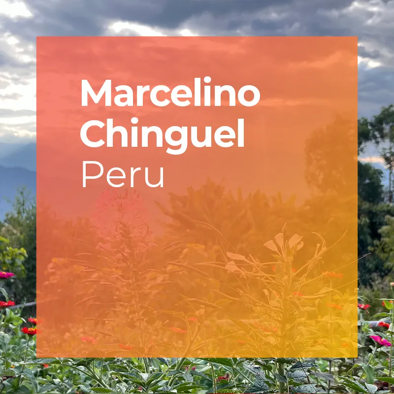 MARCELINO CHINGUEL, Marshell Natural