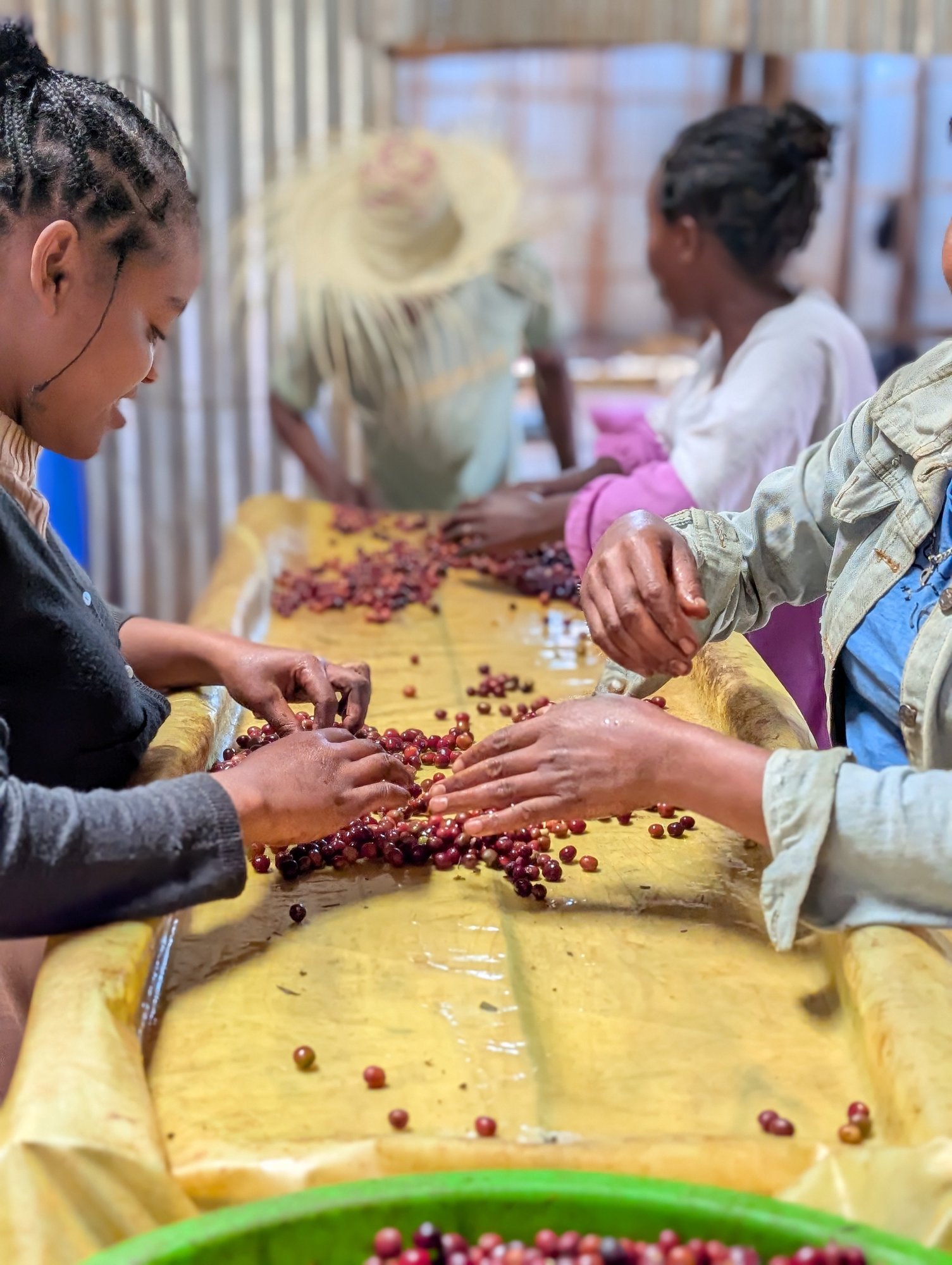 Ethiopia Bette Buna Cherry Jam GREEN