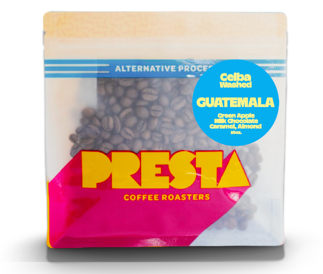 Guatemala El Diamante Washed