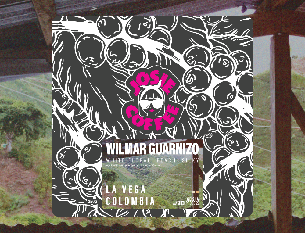Colombia - Wilmar Guarnizo - La Vega - Geisha - Washed Process