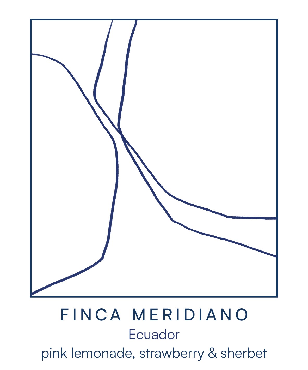 FINCA MERIDIANO