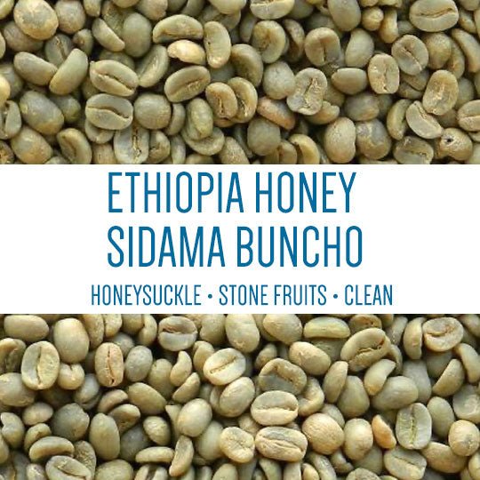 Ethiopia Buncho Honey Sidama (GREEN)