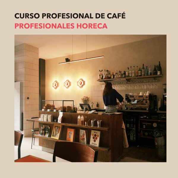 CURSO PROFESIONALES DEL SECTOR