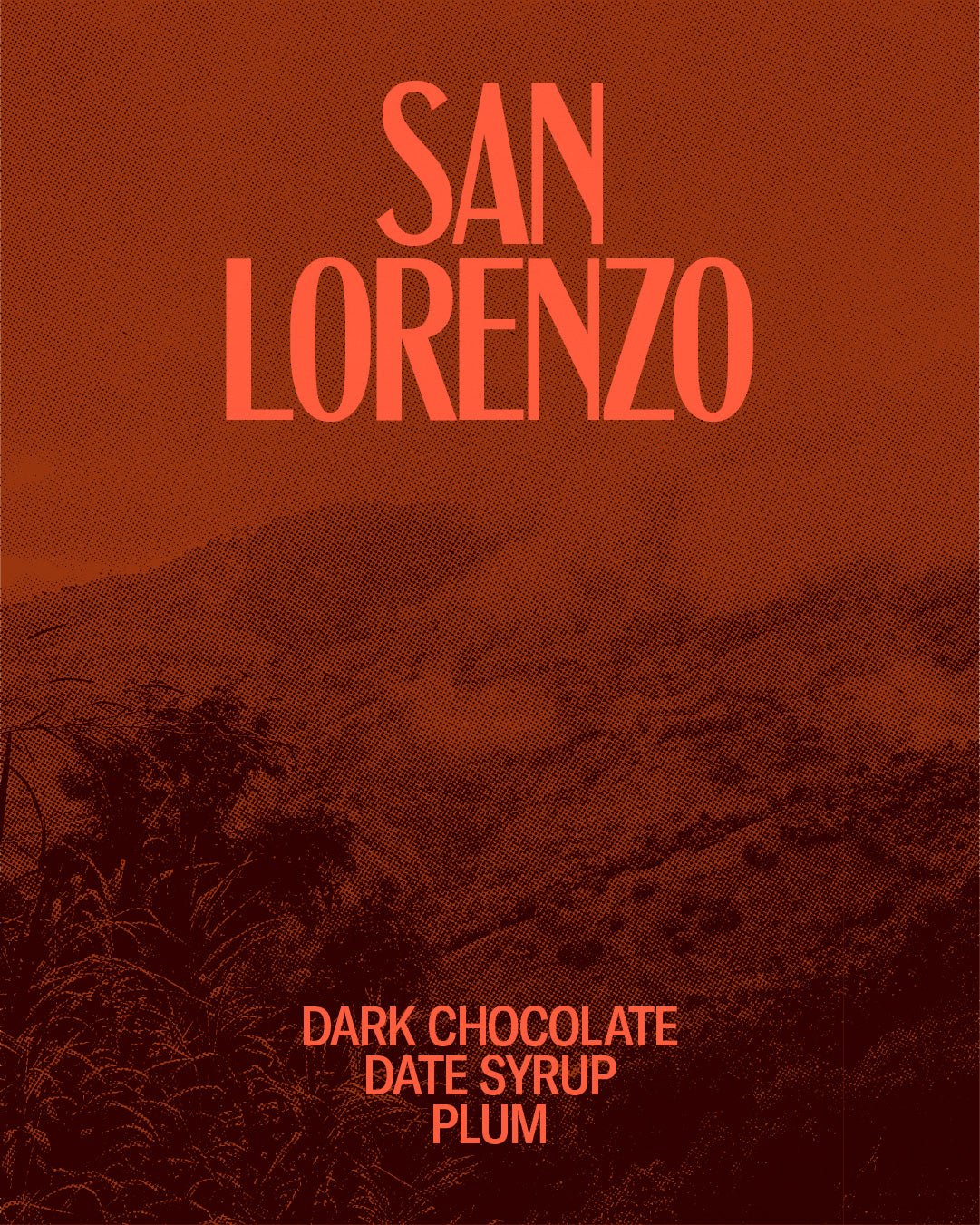 San Lorenzo