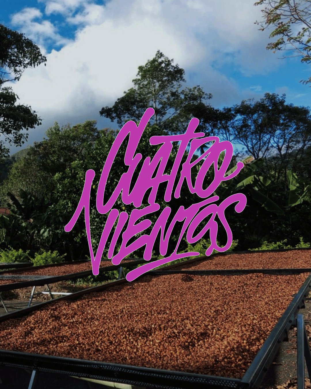 Cuatro Vientos | Costa Rica