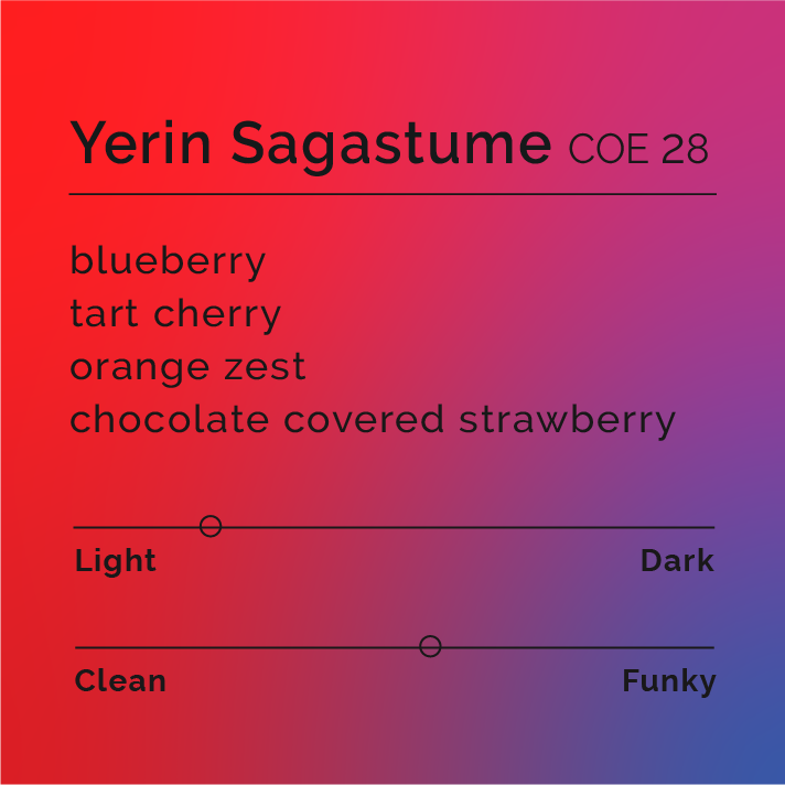 Yerin Sagastume - COE 28