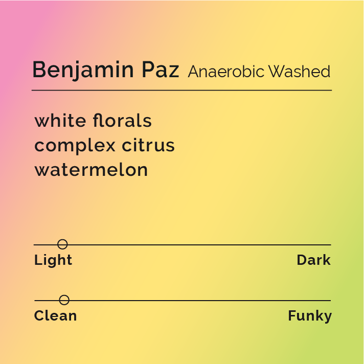 Benjamin Paz - Anaerobic Washed