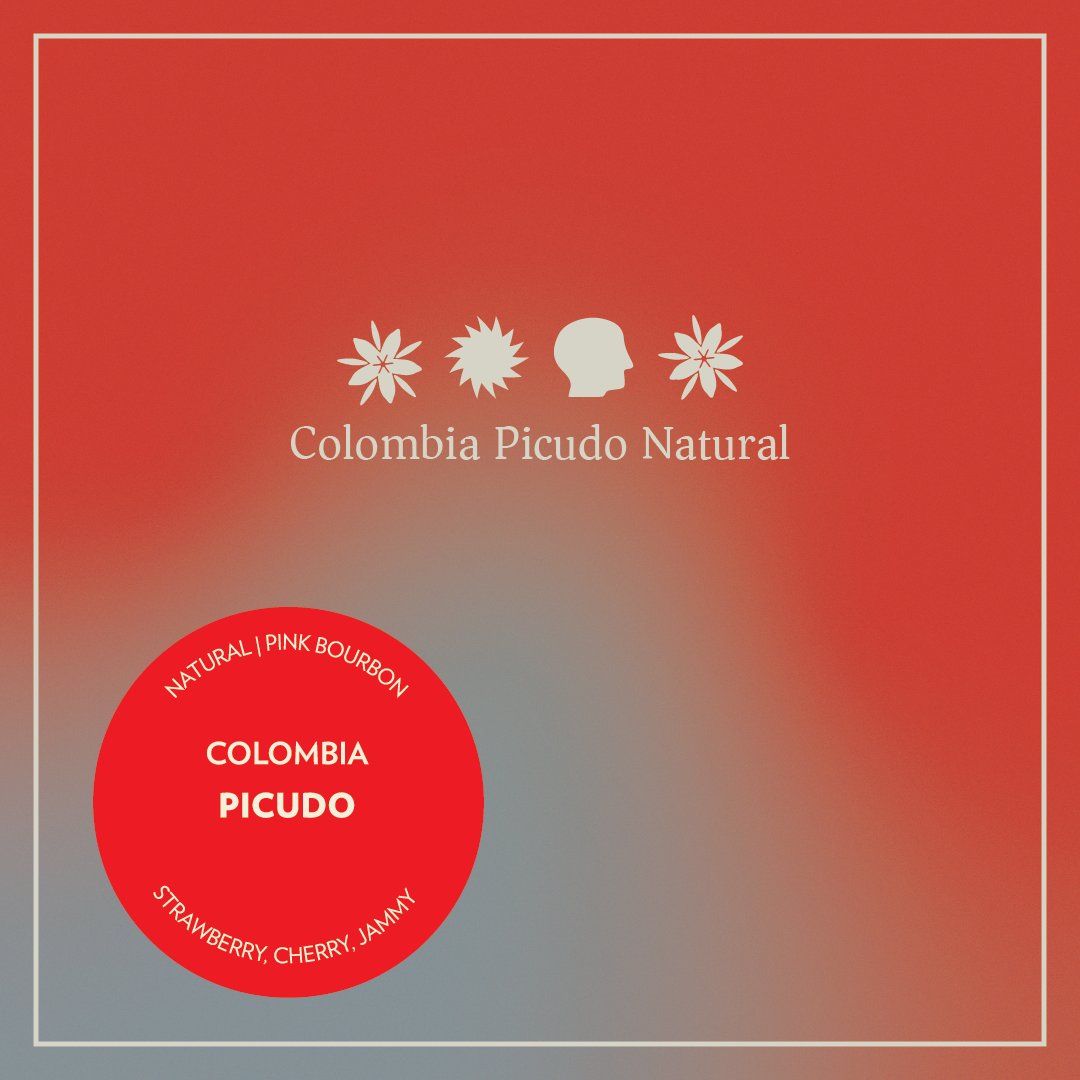 Colombia - Picudo - Natural Pink Bourbon