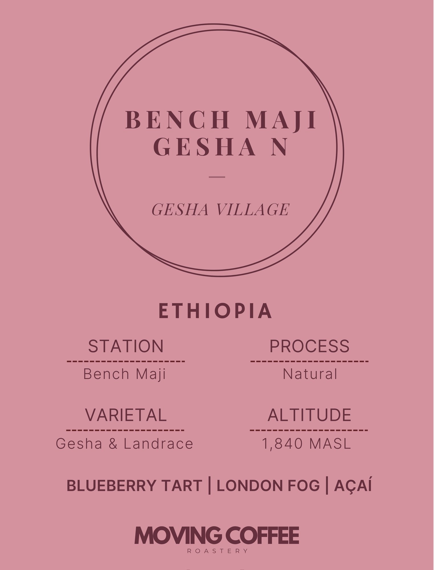 WS3 - Gesha Village Bench Maji Gesha N