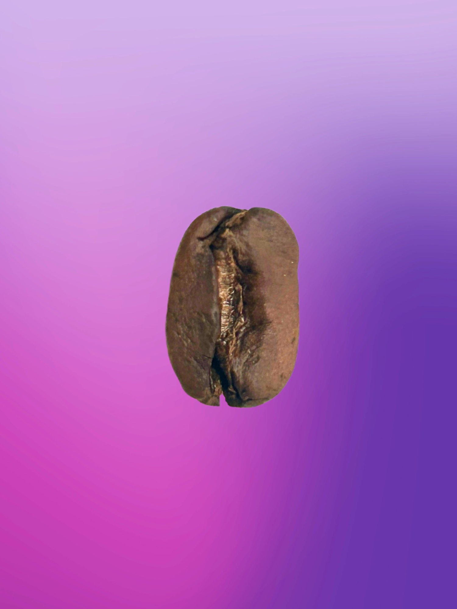 Lupe Alanoca – Pacamara Natural Anaerobic