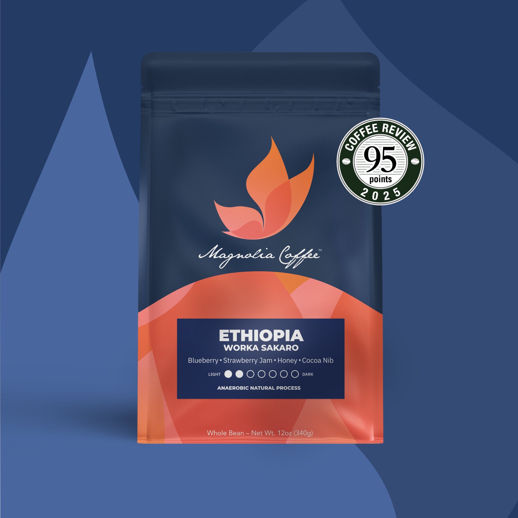 Ethiopia Worka Sakaro Natural