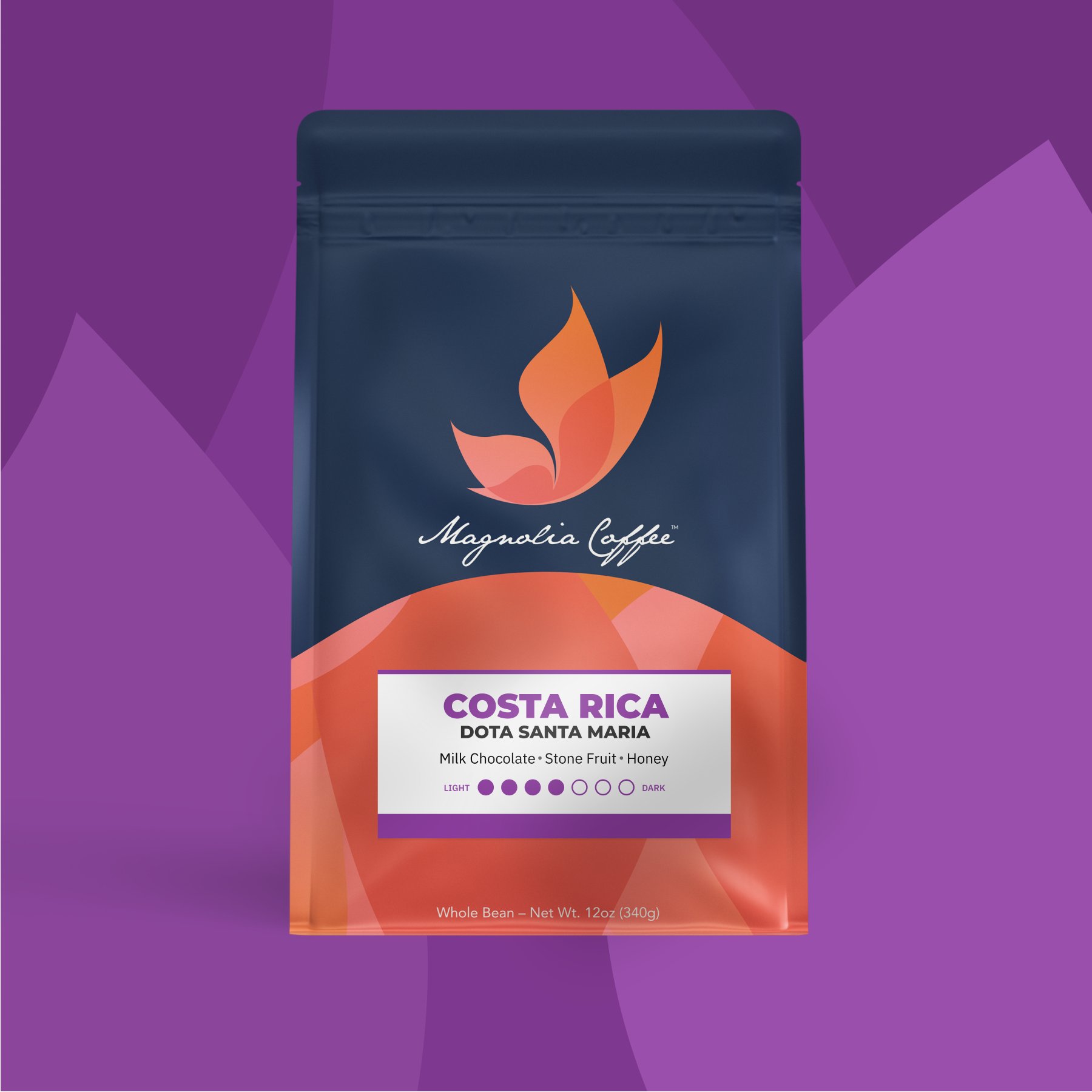 Costa Rica Dota Santa Maria — 12oz Case (6)
