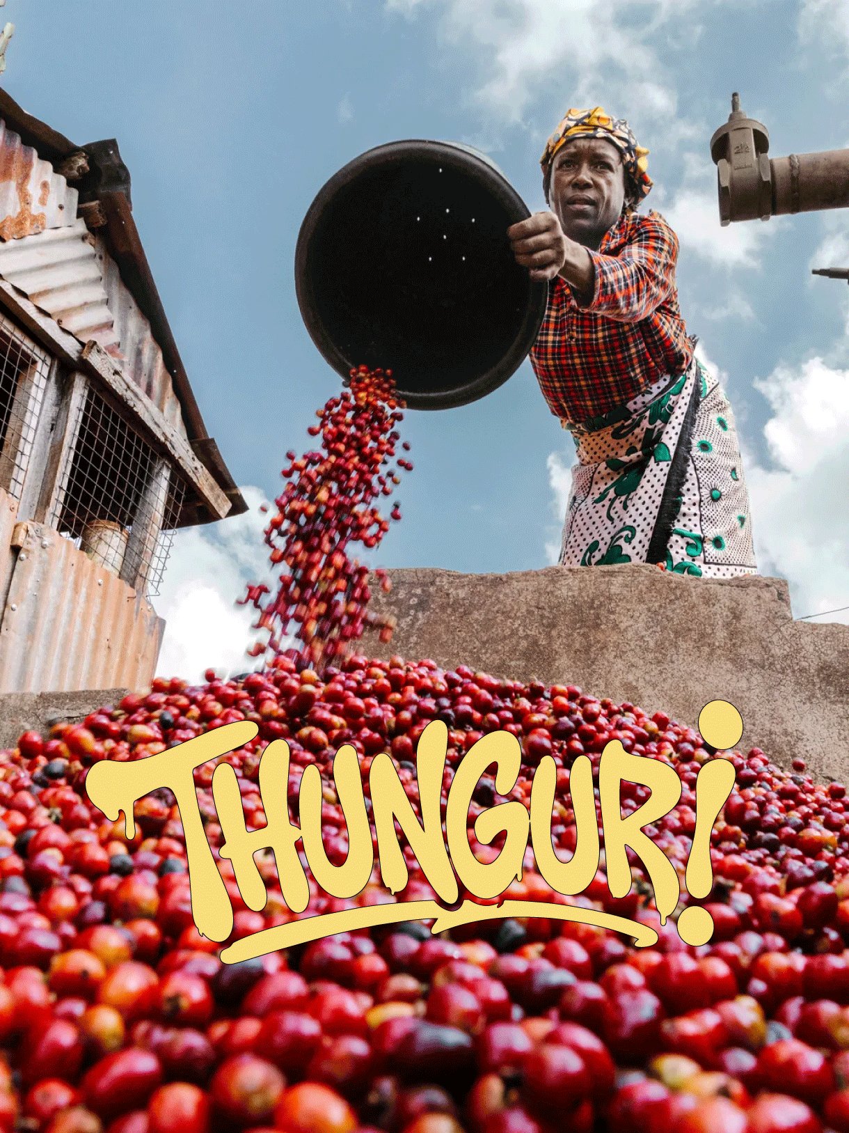 Thunguri · Kenia · SL-28, K7, Ruiru, Batian · Washed