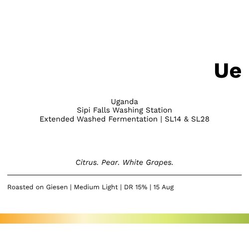 Ue - Uganda Arabica Sipi Falls Extended Washed Fermentation (SOE)