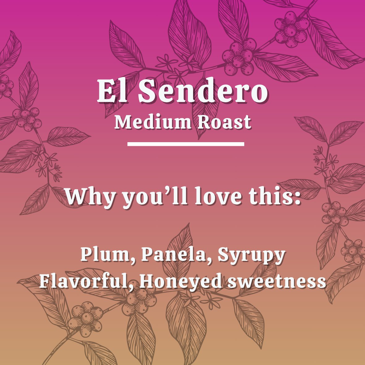 El Sendero - Medium Roast