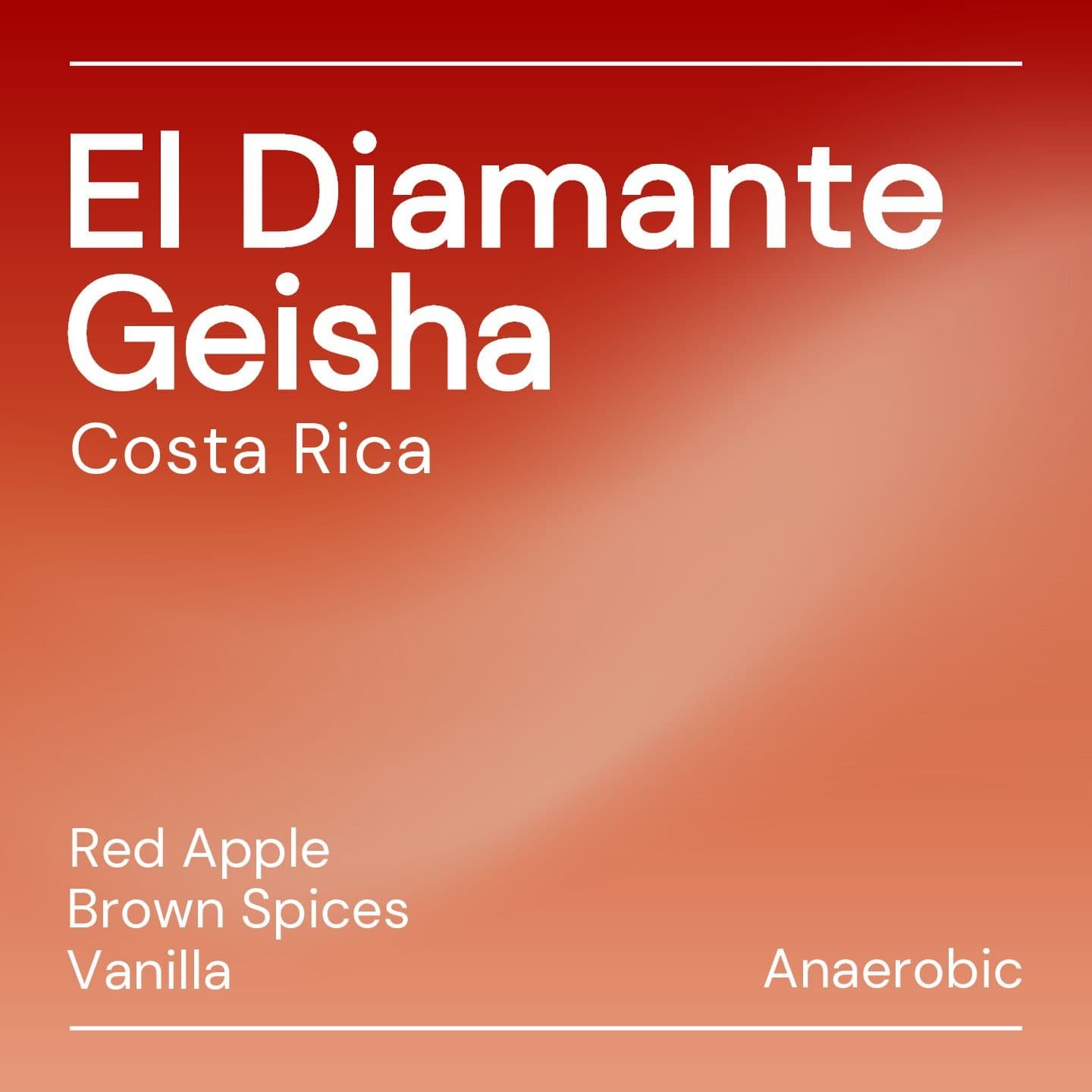 NEW – El Diamante Geisha