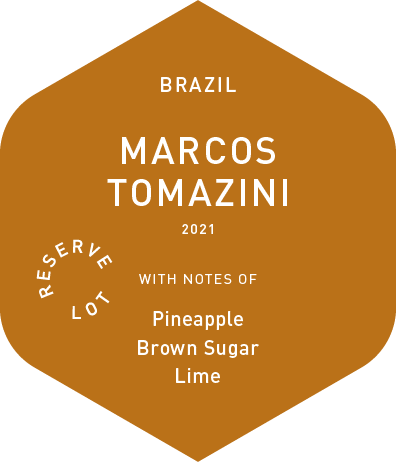 Marcos Tomazini - Wet Process - 2021