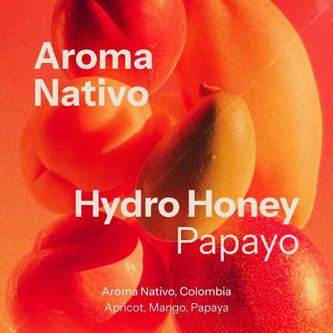 Aroma Nativo - Luis Marcelino - Hydro Honey Papayo (Colombia)
