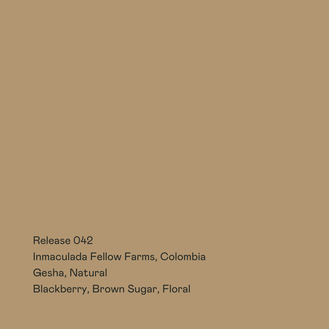 Release 042 Inmaculada Fellow Farms Gesha Natural
